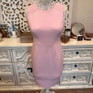 Kasper Sleeveless Pink Sheath Dress